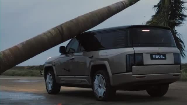 Hãng xe Trung Quốc cho cây đè trúng ôtô thử độ bền