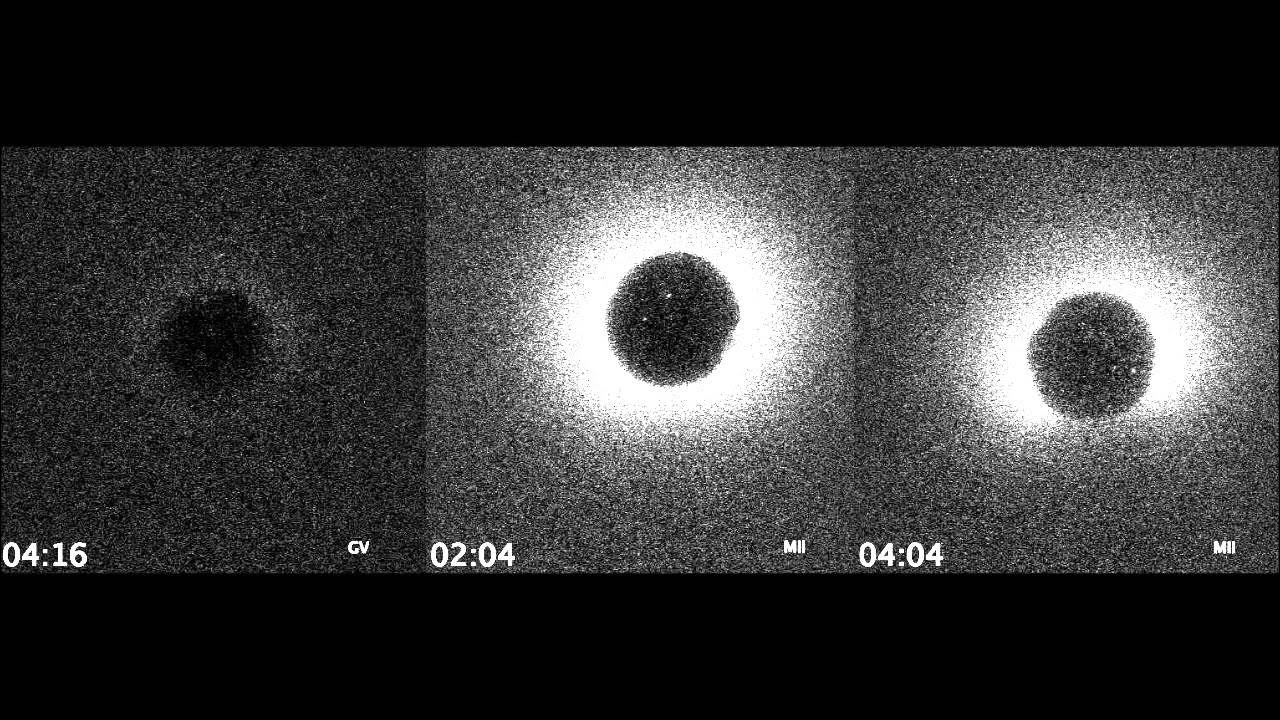 Một số nghiên cứu tiền lâm sàng cho thấy cường độ của tia sáng có thể dùng để đánh giá chất lượng trứng