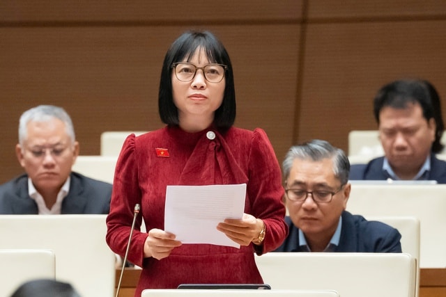 Xử lý tổ chức tín dụng yếu kém còn "nặng về quy trình, nhẹ về kết quả"- Ảnh 1.