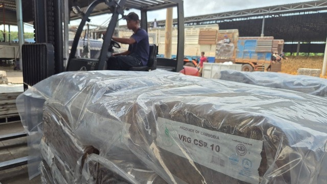 Tập đoàn Công nghiệp cao su Việt Nam (VRG) lãi gần 7.000 tỉ đồng - Ảnh 5.