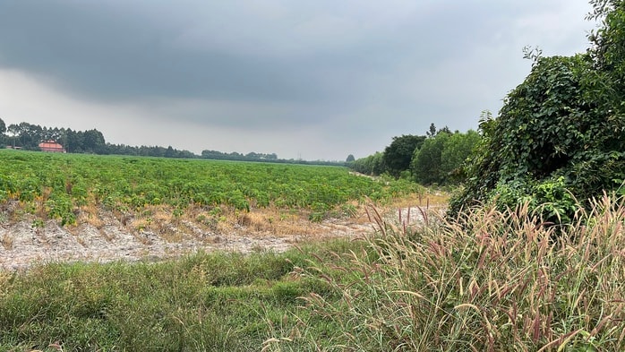 Cận cảnh khu đất vàng Đồng Nai đấu giá hơn 5 . 000 Tỉ Đồng cho dự án đô thị sinh thái - Ảnh 6.