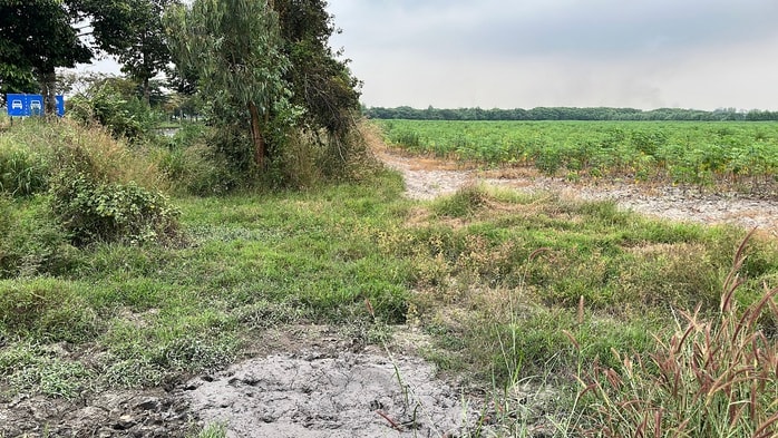 Cận cảnh khu đất vàng Đồng Nai đấu giá hơn 5 . 000 Tỉ Đồng cho dự án đô thị sinh thái - Ảnh 8.