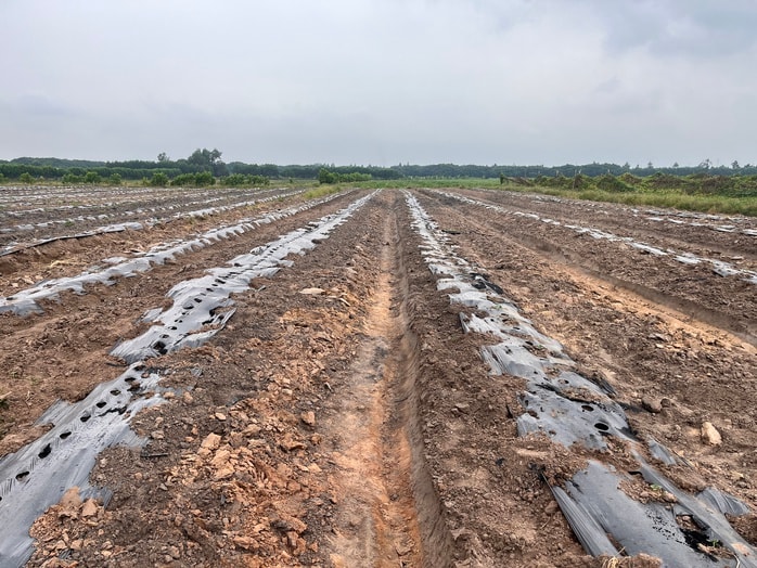 Cận cảnh khu đất vàng Đồng Nai đấu giá hơn 5 . 000 Tỉ Đồng cho dự án đô thị sinh thái - Ảnh 12.