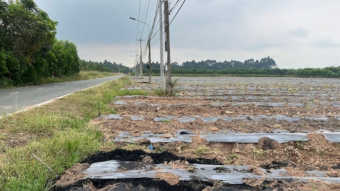 Cận cảnh khu đất vàng Đồng Nai đấu giá hơn 5 . 000 Tỉ Đồng cho dự án đô thị sinh thái - Ảnh 2.