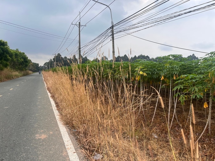 Cận cảnh khu đất vàng Đồng Nai đấu giá hơn 5 . 000 Tỉ Đồng cho dự án đô thị sinh thái - Ảnh 13.