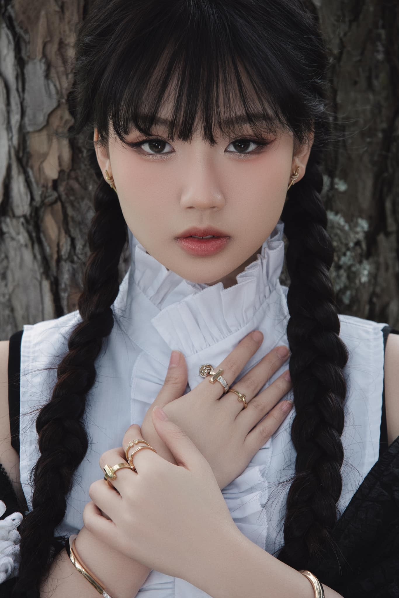 AMEE ảnh 2 AMEE anh 2