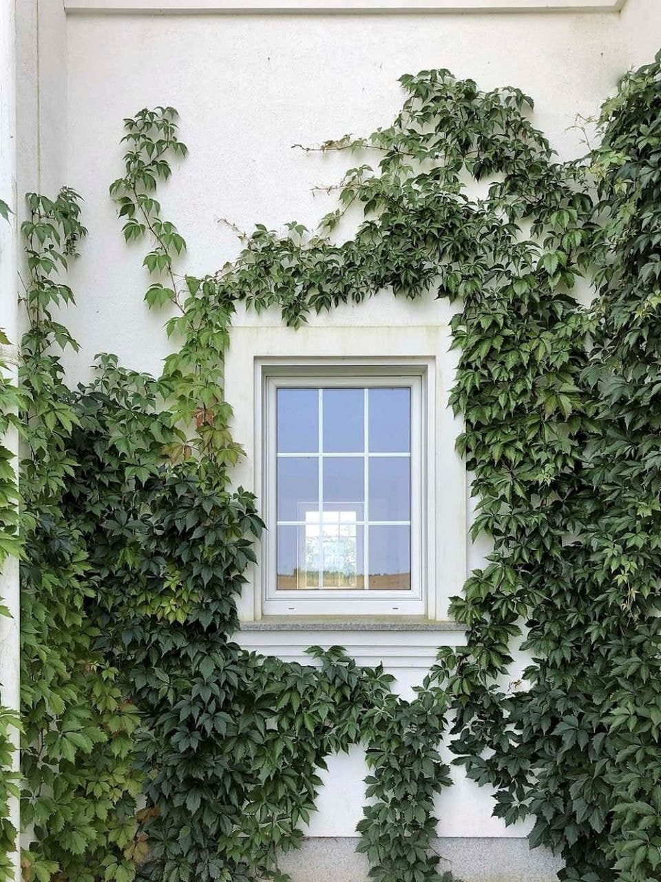 (Ảnh: Noithatmanhhe)