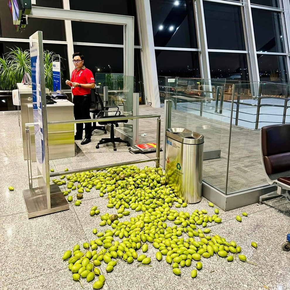 Khách Việt bỏ ở sân bay hàng chục cân xoài cóc và chuyện dở khóc dở cười - 1 Khách Việt bỏ ở sân bay hàng chục cân xoài cóc và chuyện dở khóc dở cười - 1