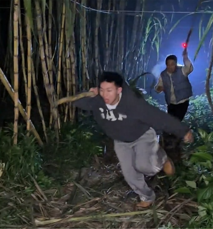 Khách tham gia chơi trộm mía. Ảnh: Inf News