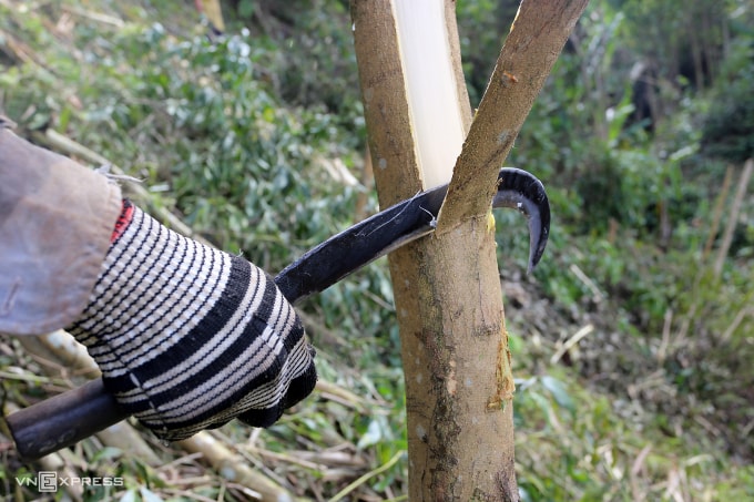 Các loại dao có tính sát thương cao, khi sử dụng trong lao động, sản xuất, cần được chủ sở hữu quản lý, bảo quản, tránh để người khác lợi dụng làm công cụ gây án. Ảnh: Đắc Thành