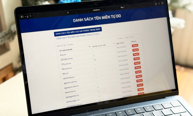 Danh sách các tên miền tự do trên website của VNNIC ngày 4/12. Ảnh: Lưu Quý