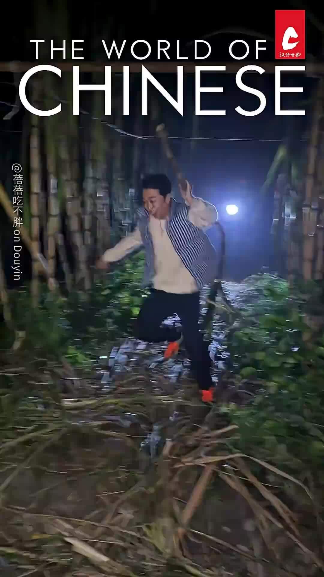 Người Trung Quốc rủ nhau trộm mía để bị chủ vườn đuổi