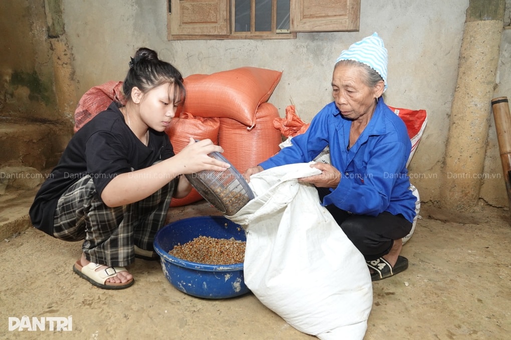 Bà lão đau yếu là chỗ dựa duy nhất của chồng tâm thần và 2 cháu nội mồ côi - 2 Bà lão đau yếu là chỗ dựa duy nhất của chồng tâm thần và 2 cháu nội mồ côi - 2