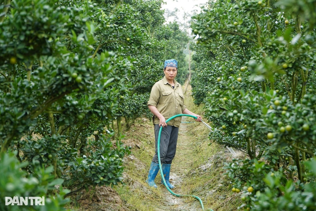 Từ câu nói đùa đến quyết định điên rồ, người đàn ông thành triệu phú - 3 Từ câu nói đùa đến quyết định điên rồ, người đàn ông thành triệu phú - 3