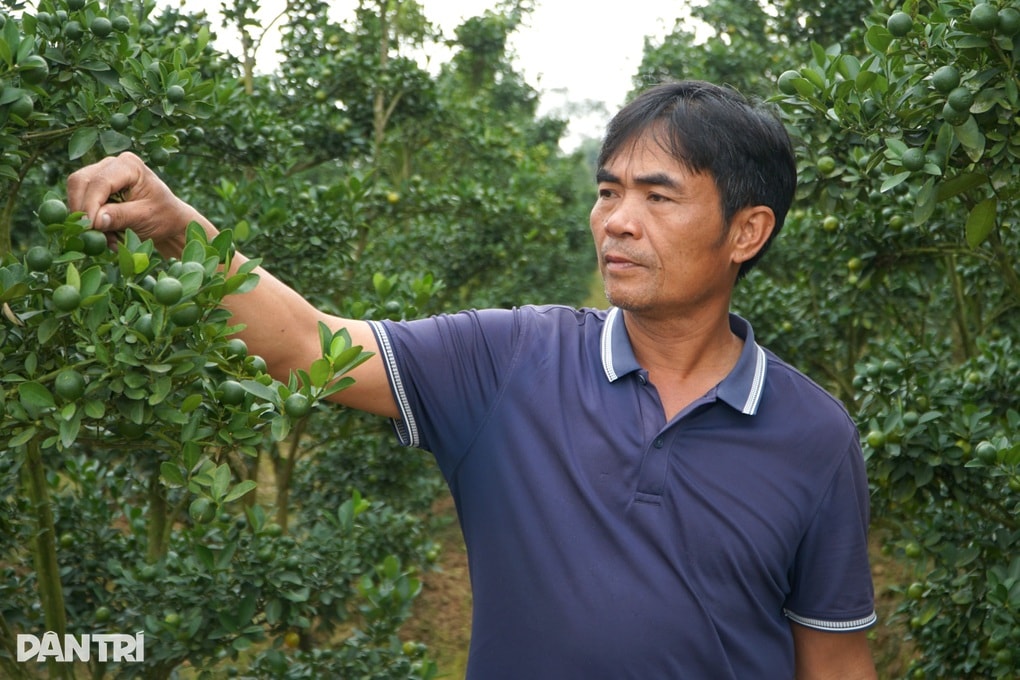 Từ câu nói đùa đến quyết định điên rồ, người đàn ông thành triệu phú - 2 Từ câu nói đùa đến quyết định điên rồ, người đàn ông thành triệu phú - 2