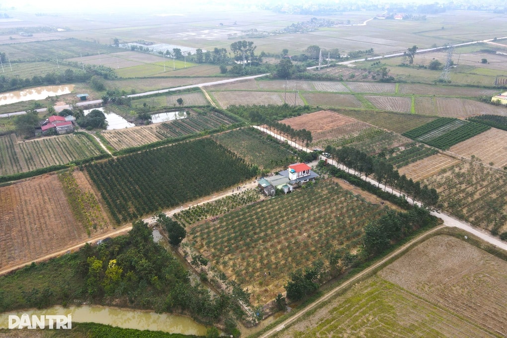 Từ câu nói đùa đến quyết định điên rồ, người đàn ông thành triệu phú - 1 Từ câu nói đùa đến quyết định điên rồ, người đàn ông thành triệu phú - 1