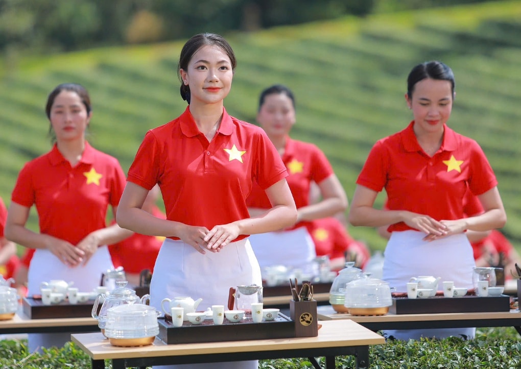 Hơn 1.000 cô gái biểu diễn pha trà ở Lâm Đồng - 1 Hơn 1.000 cô gái biểu diễn pha trà ở Lâm Đồng - 1