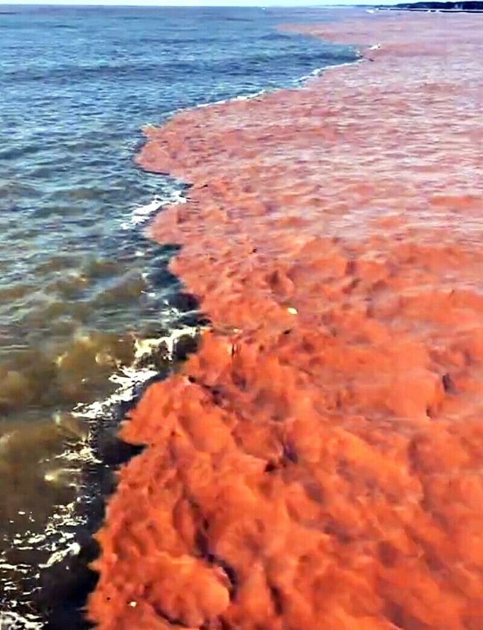 Nước biển có hai màu xanh và nâu đỏ ở khu vực ven biển huyện Trần Văn Thời cũ. Ảnh: An Minh