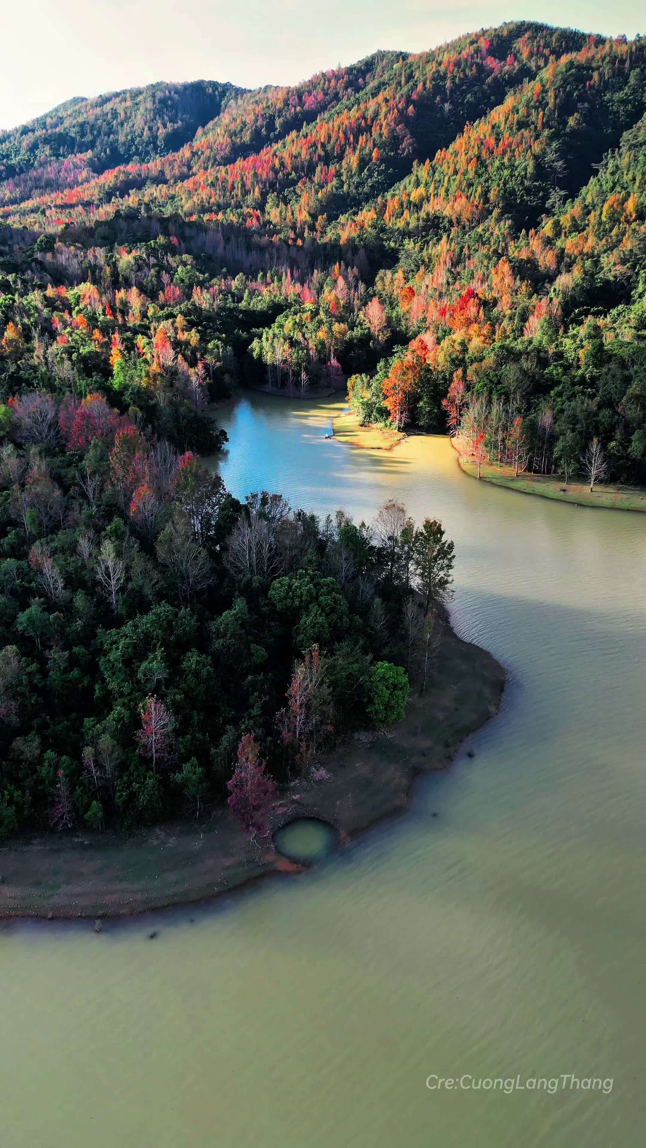 Trekking ngắm rừng phong đổi màu ở Quảng Trị