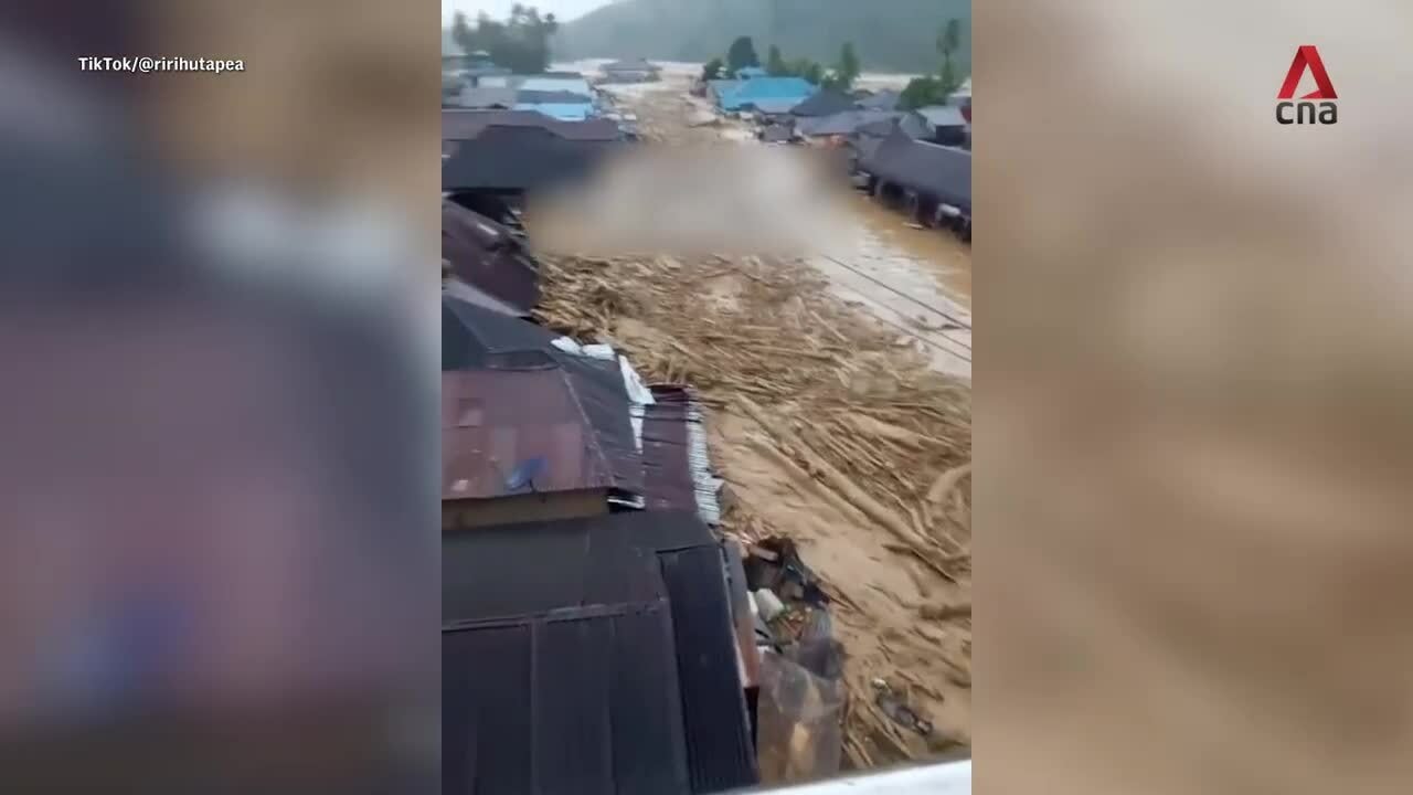 Nạn phá rừng biến nước lũ thành 'bão đạn' ở Indonesia