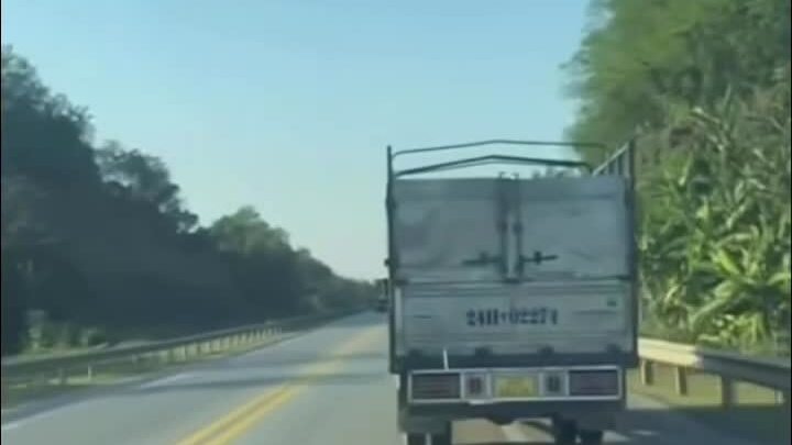 Xử phạt tài xế xe tải bị nghi 'chim mồi' đi vào làn khẩn cấp trên cao tốc