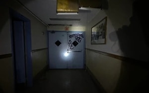 Phát hiện loài thực vật kỳ lạ, số lượng chưa đến 20 cá thể - Ảnh 4.