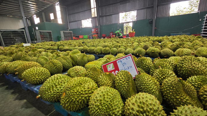 Xuất khẩu nông, lâm, thủy sản sớm về đích - Ảnh 1. Xuất khẩu nông, lâm, thủy sản sớm về đích - Ảnh 1.