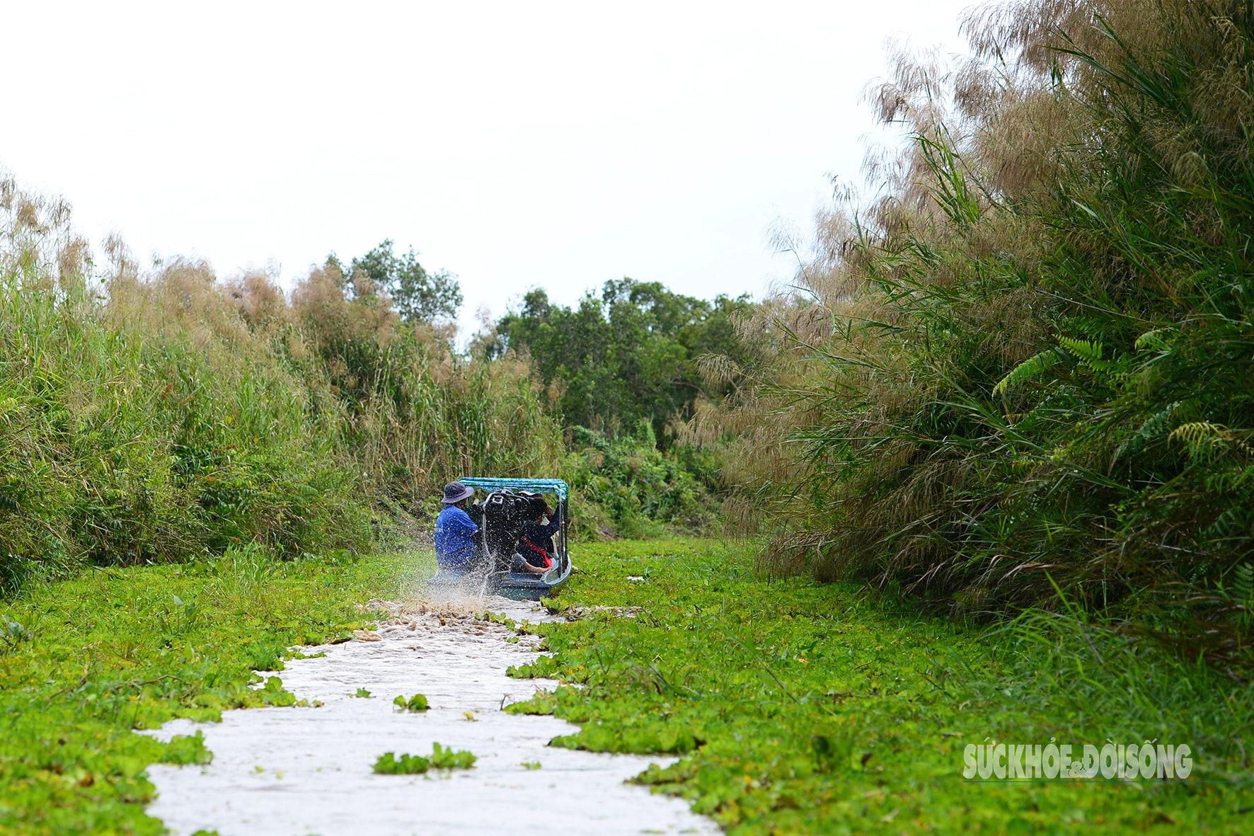 Vẻ đẹp nguyên sơ của 'ốc đảo sinh quyển' U Minh Thượng- Ảnh 4.