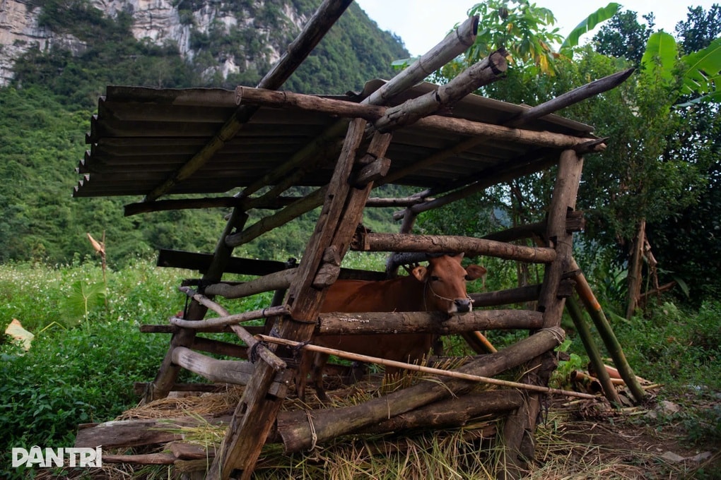 Nâng cao năng lực cán bộ làm công tác giảm nghèo - 1 Nâng cao năng lực cán bộ làm công tác giảm nghèo - 1