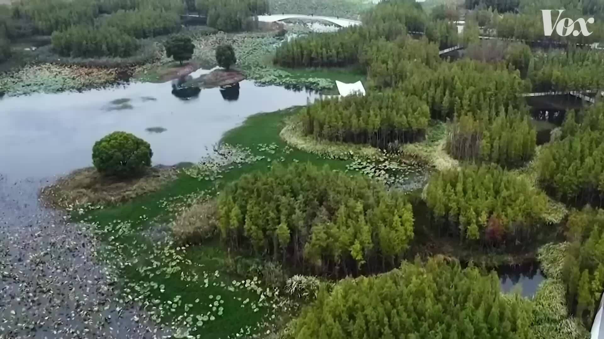 Cách Trung Quốc xây dựng các 'thành phố bọt biển' chống lụt