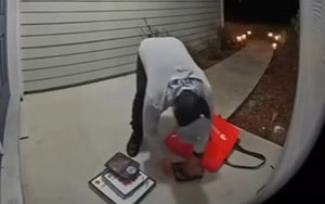 Thiếu nữ mất tích được tìm thấy trong rừng, trong tình trạng kinh hoàng - Ảnh 2.