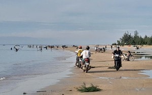 Nuôi loài tí hon, 30 ngày cho thu hoạch, chàng rể Nghệ An bỏ túi hàng trăm triệu mỗi năm- Ảnh 10.