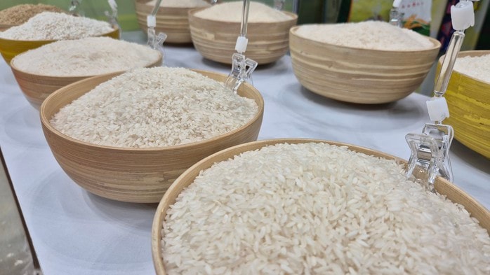 Nhật Bản tìm đến gạo Việt Nam giữa cơn sốt giá gạo nội địa - Ảnh 3.