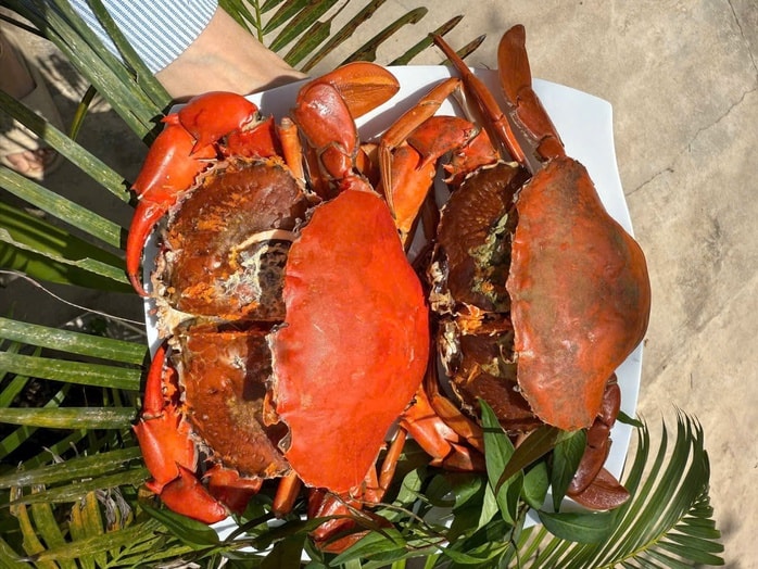 Tuyệt chiêu chọn cua cốm Cà Mau - Ảnh 3.