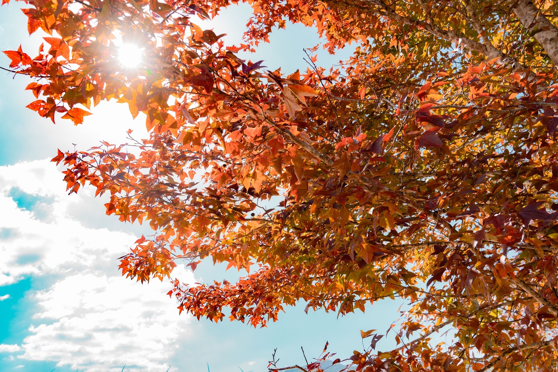 Có một nơi ở miền Trung đẹp như trời Âu mùa phong hương thay lá - 3 Có một nơi ở miền Trung đẹp như trời Âu mùa phong hương thay lá - 3