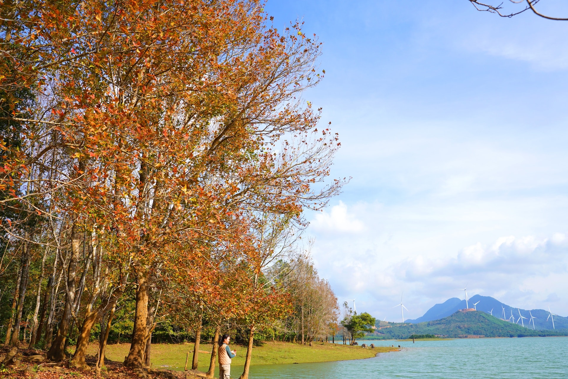 Có một nơi ở miền Trung đẹp như trời Âu mùa phong hương thay lá - 10 Có một nơi ở miền Trung đẹp như trời Âu mùa phong hương thay lá - 10