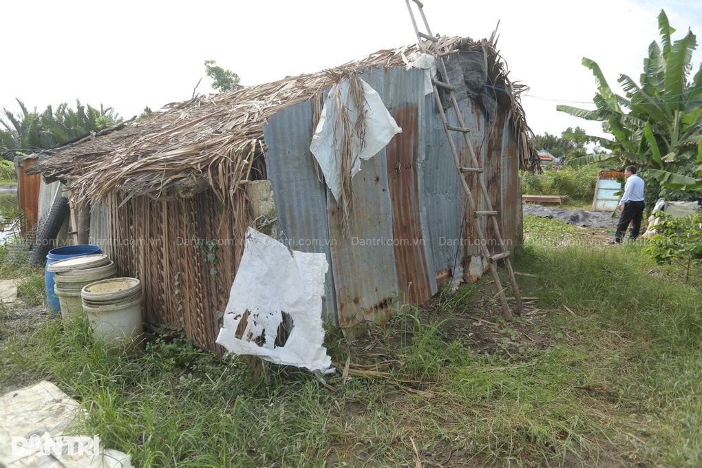 Người đàn ông từng liệt tứ chi sống đơn độc trong căn chòi rách giữa đồng - 4 Người đàn ông từng liệt tứ chi sống đơn độc trong căn chòi rách giữa đồng - 4