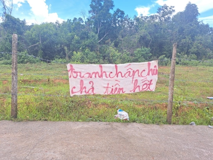 Khu vực đất nhóm Điệp mới đặt cọc mua của người dân song lừa bán nhiều người. Ảnh: Dương Đông