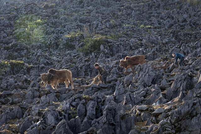 Tuyên Quang đón nhận danh hiệu “Điểm đến văn hóa hàng đầu thế giới 2025” tại Lễ trao giải World Travel Awards - Ảnh 5.