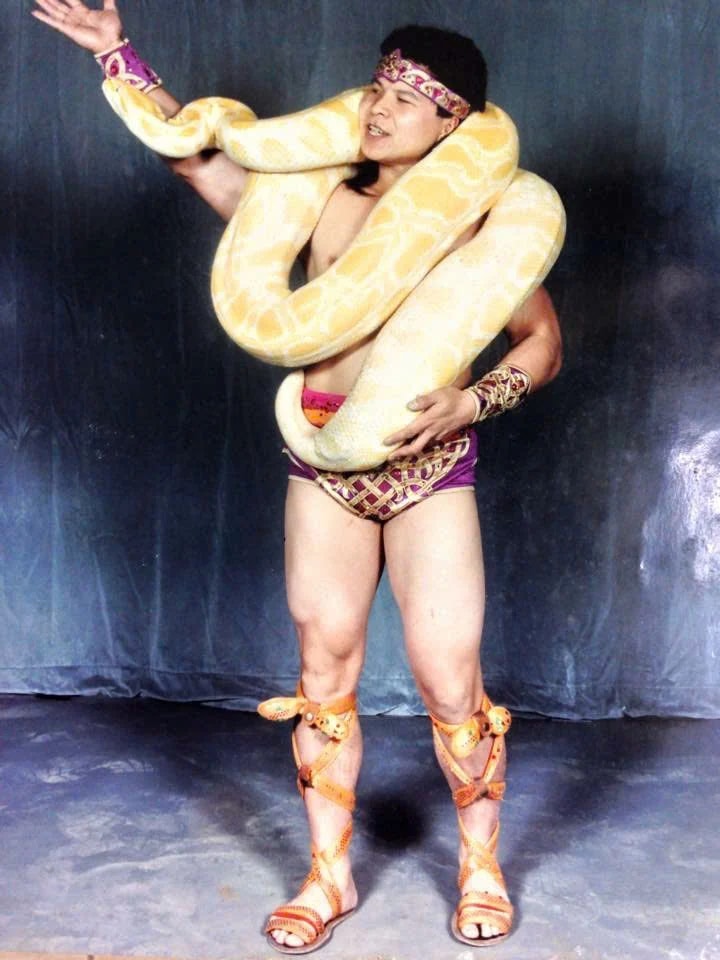 NSND Tống Toàn Thắng là nghệ sĩ Việt đầu tiên diễn xiếc với trăn.