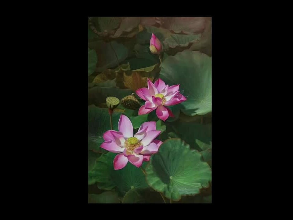 Các bước vẽ tranh hoa sen của Lê Sâm