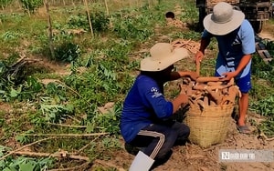 Để nông dân thoát cảnh 