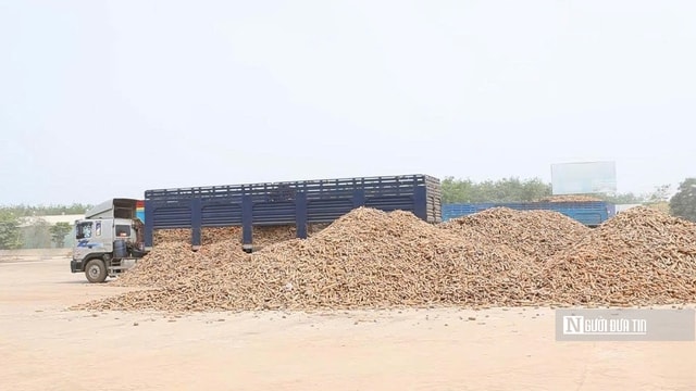 Để nông dân thoát cảnh Để nông dân thoát cảnh