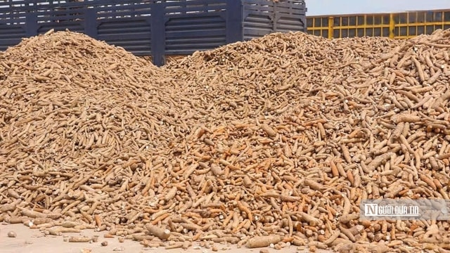 Để nông dân thoát cảnh Để nông dân thoát cảnh