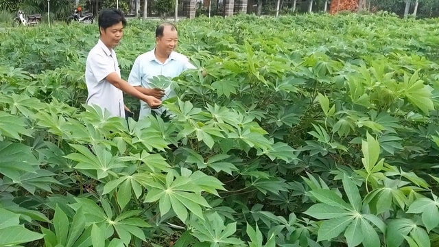 Để nông dân thoát cảnh Để nông dân thoát cảnh