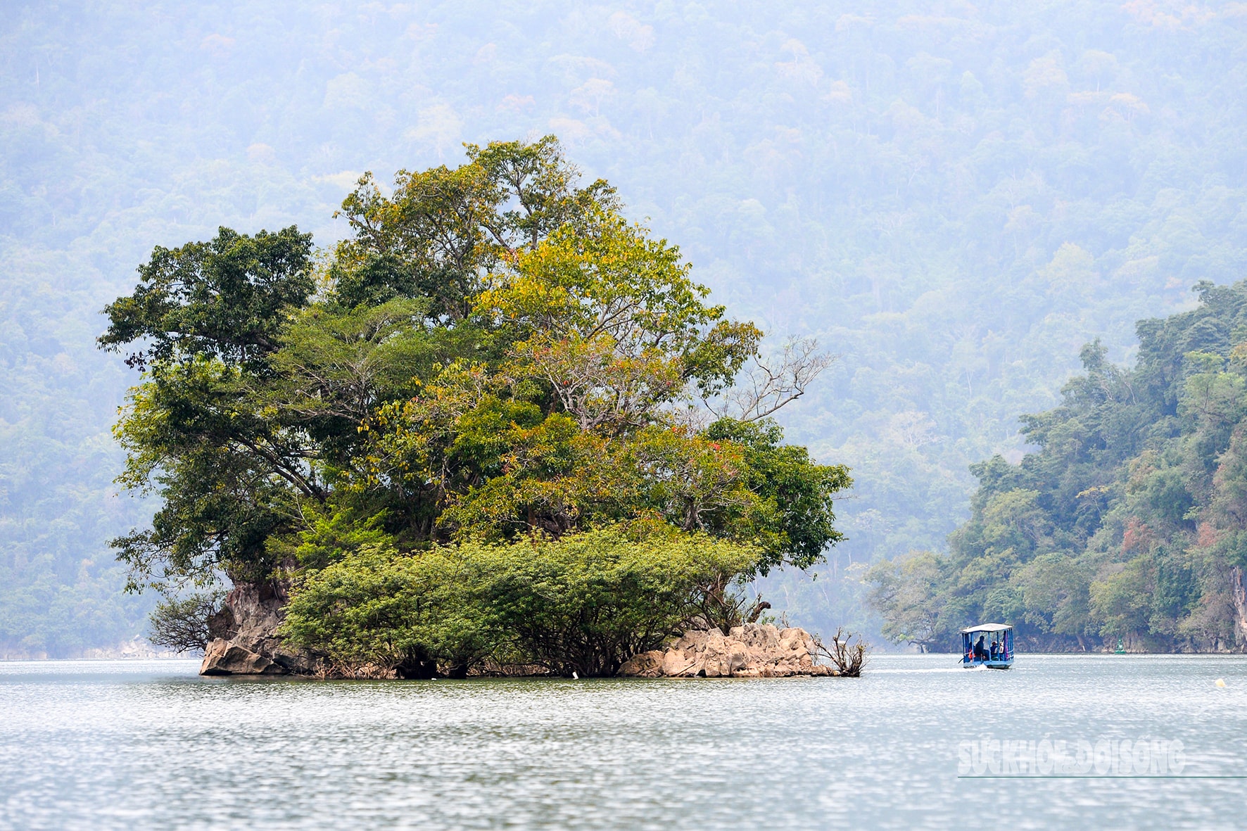 Rừng cổ thụ 'khoác áo mới' bên hồ nước ngọt đẹp nhất thế giới- Ảnh 4. Rừng cổ thụ 'khoác áo mới' bên hồ nước ngọt đẹp nhất thế giới- Ảnh 4.