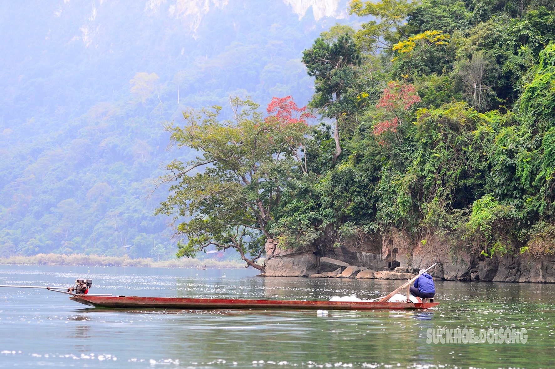 Rừng cổ thụ 'khoác áo mới' bên hồ nước ngọt đẹp nhất thế giới- Ảnh 12. Rừng cổ thụ 'khoác áo mới' bên hồ nước ngọt đẹp nhất thế giới- Ảnh 12.