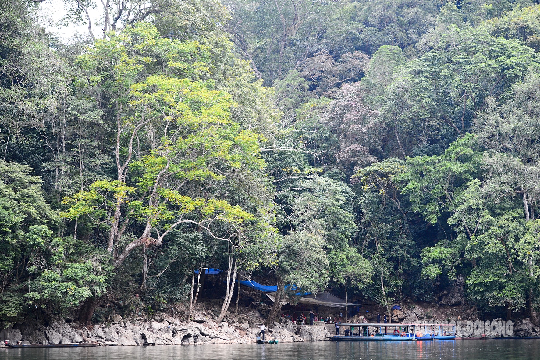Rừng cổ thụ 'khoác áo mới' bên hồ nước ngọt đẹp nhất thế giới- Ảnh 13. Rừng cổ thụ 'khoác áo mới' bên hồ nước ngọt đẹp nhất thế giới- Ảnh 13.