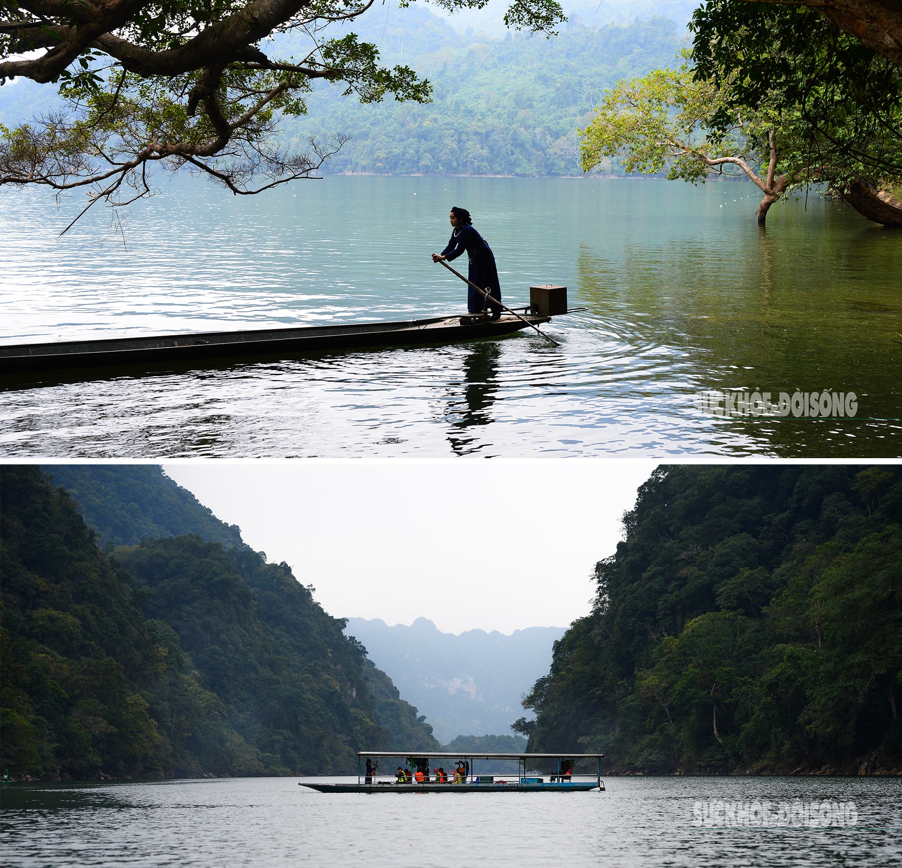 Rừng cổ thụ 'khoác áo mới' bên hồ nước ngọt đẹp nhất thế giới- Ảnh 1. Rừng cổ thụ 'khoác áo mới' bên hồ nước ngọt đẹp nhất thế giới- Ảnh 1.