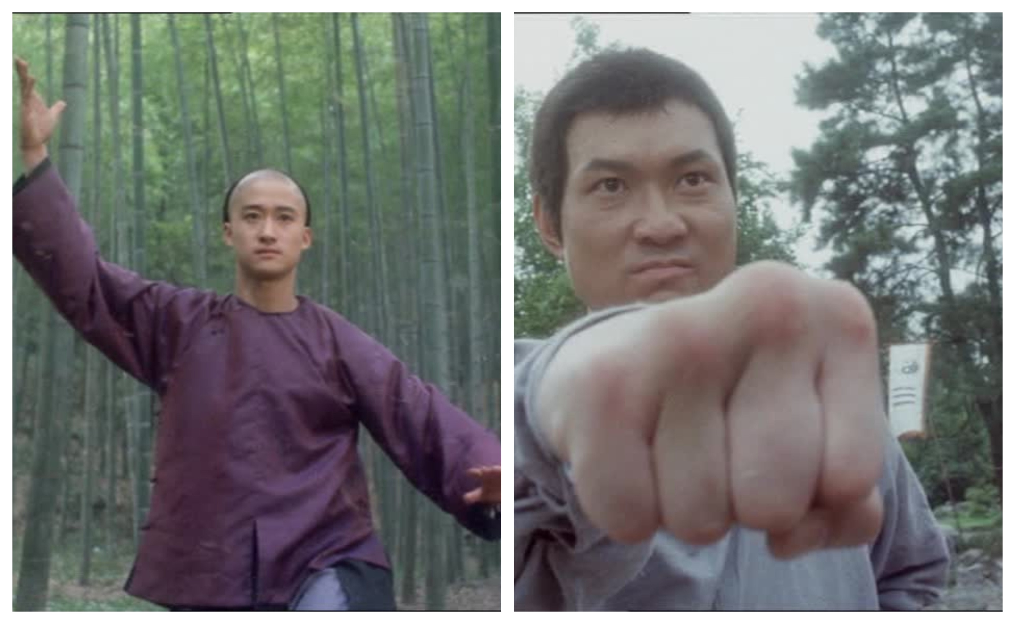 Ngô Kinh từng bị Chu Tỉ Lợi đá văng khi quay phim